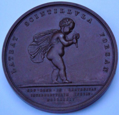 Royal Humane Society medal